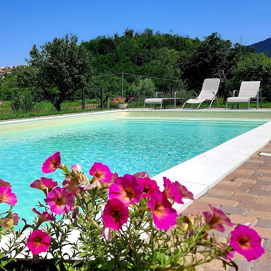 Agriturismo "Veritas" Bed & Wine Casaleggio Boiro Zewnętrze zdjęcie
