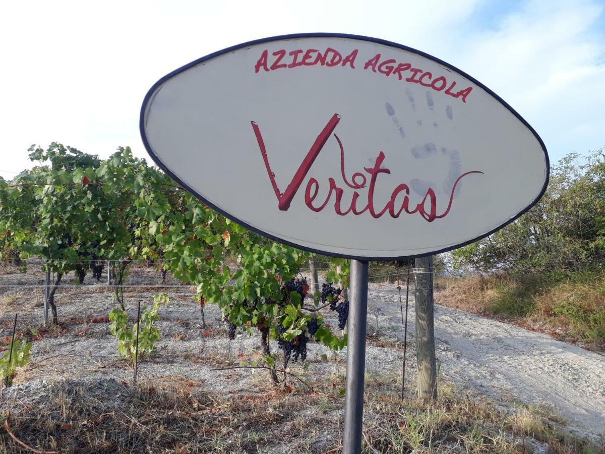 Agriturismo "Veritas" Bed & Wine Casaleggio Boiro Zewnętrze zdjęcie