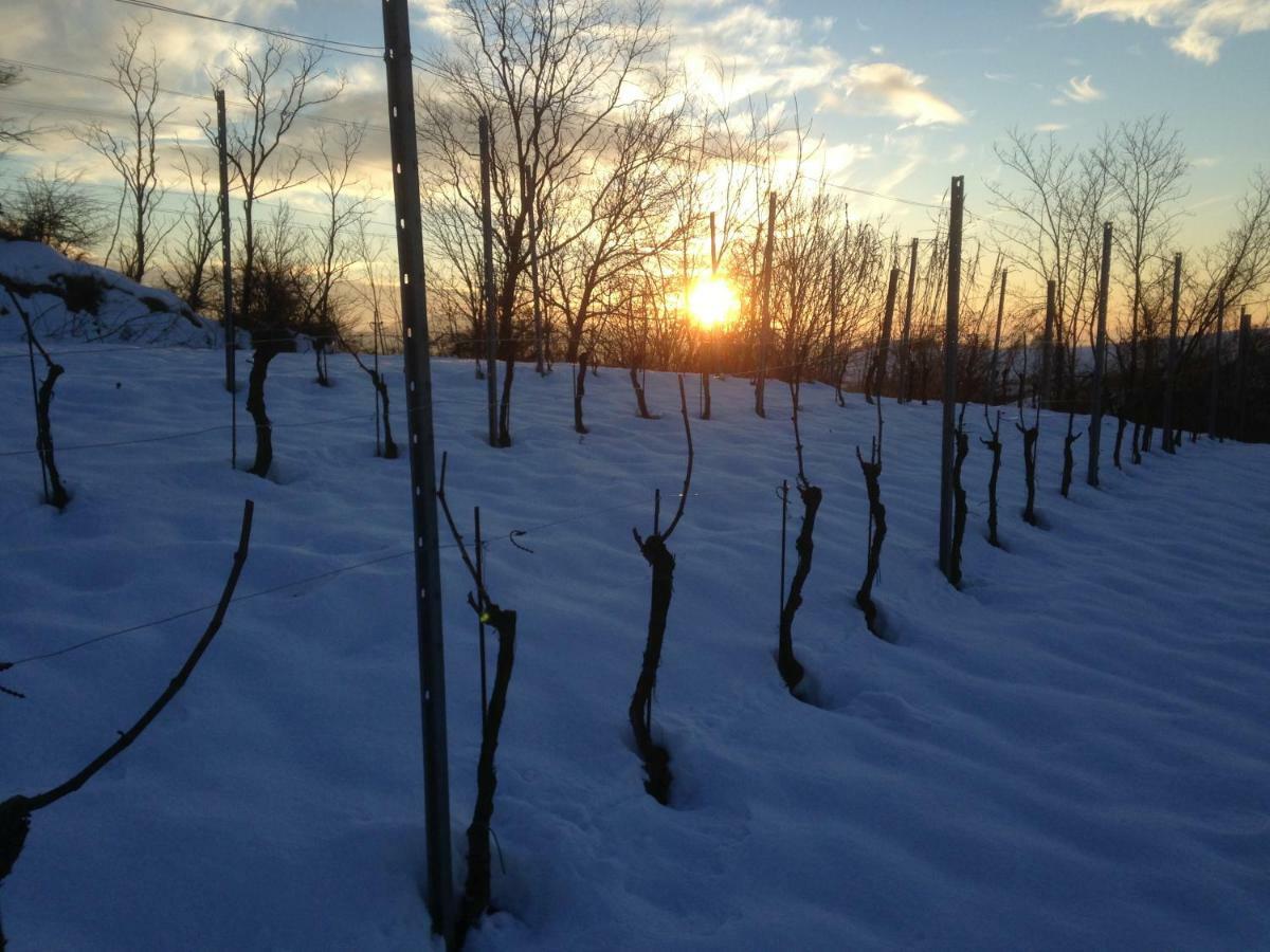 Agriturismo "Veritas" Bed & Wine Casaleggio Boiro Zewnętrze zdjęcie